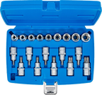 Conjunto de Encaixes Torx e Perfil E | 1/2" | T20-T70 + E10-E24 | 19 peças
