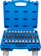 Conjunto de Encaixes para Pontas | Sextavado, Torx, XZN Cabeça Esférica | 1/2" | 20 peças