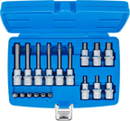 Conjunto de Encaixes para Pontas | Sextavado Interno | 1/4" + 1/2" | 18 peças