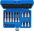 Conjunto de Encaixes para Pontas XZN | 1/4" e 1/2" | 18 peças