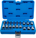 Conjunto de Encaixes Torx | 1/4" e 1/2" | T10-T60 (std + 100mm) | 18 peças