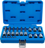 Conjunto de Encaixes Torx | 1/4" e 1/2" | T10-T60 (std + 100mm) | 18 peças
