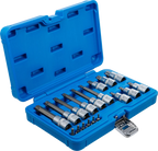 Conjunto de Encaixes Torx | 1/4" e 1/2" | T10-T60 (std + 100mm) | 18 peças