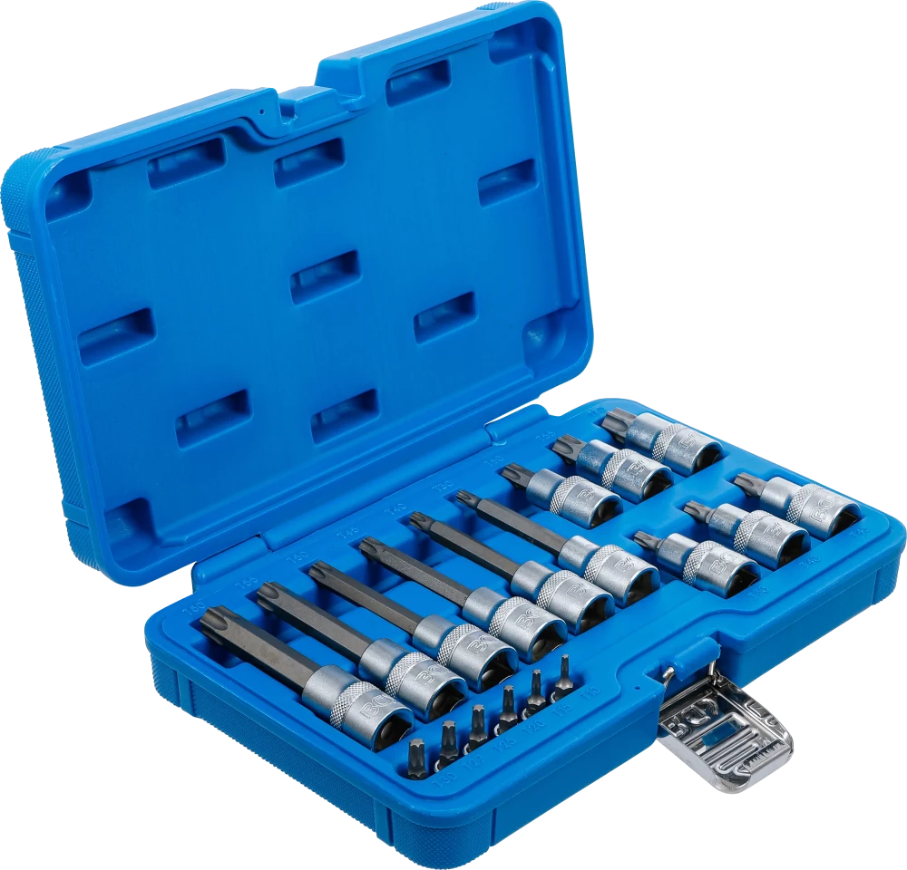 Conjunto de Encaixes Torx | 1/4" e 1/2" | T10-T60 (std + 100mm) | 18 peças
