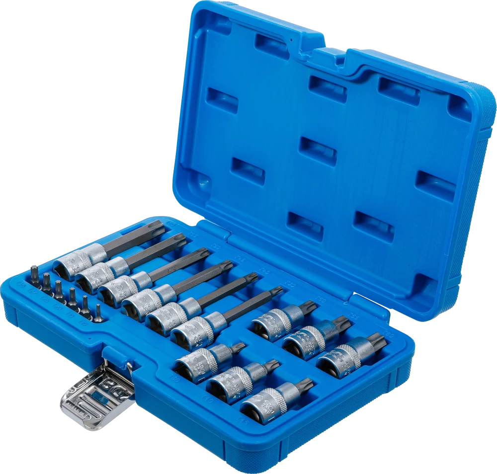 Conjunto de Encaixes Torx | 1/4" e 1/2" | T10-T60 (std + 100mm) | 18 peças
