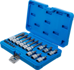 Conjunto de Encaixes Torx | 1/4" e 1/2" | T10-T60 (std + 100mm) | 18 peças