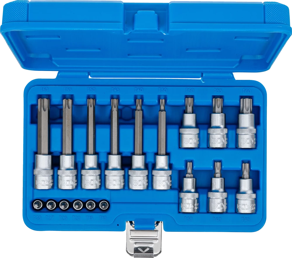 Conjunto de Encaixes Torx | 1/4" e 1/2" | T10-T60 (std + 100mm) | 18 peças