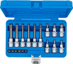 Conjunto de Encaixes Torx | 1/4" e 1/2" | T10-T60 (std + 100mm) | 18 peças