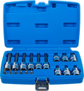 Conjunto de Encaixes Torx com Furo | 1/4" e 1/2" | T10-T60 (std + 100mm) | 18 peças
