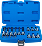 Conjunto de Encaixes Torx com Furo | 1/4" e 1/2" | T10-T60 (std + 100mm) | 18 peças