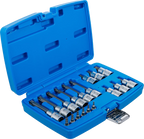 Conjunto de Encaixes Torx com Furo | 1/4" e 1/2" | T10-T60 (std + 100mm) | 18 peças