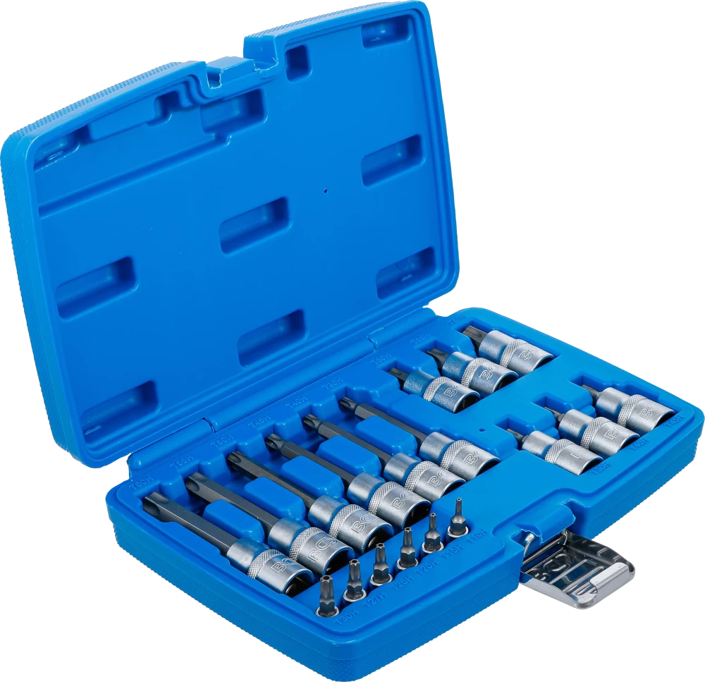Conjunto de Encaixes Torx com Furo | 1/4" e 1/2" | T10-T60 (std + 100mm) | 18 peças