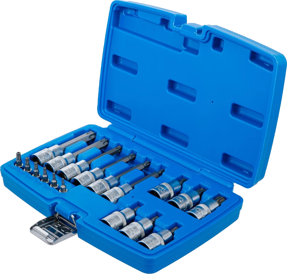 Conjunto de Encaixes Torx com Furo | 1/4" e 1/2" | T10-T60 (std + 100mm) | 18 peças