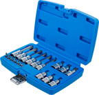 Conjunto de Encaixes Torx com Furo | 1/4" e 1/2" | T10-T60 (std + 100mm) | 18 peças
