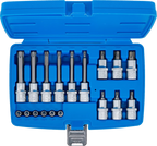 Conjunto de Encaixes Torx com Furo | 1/4" e 1/2" | T10-T60 (std + 100mm) | 18 peças