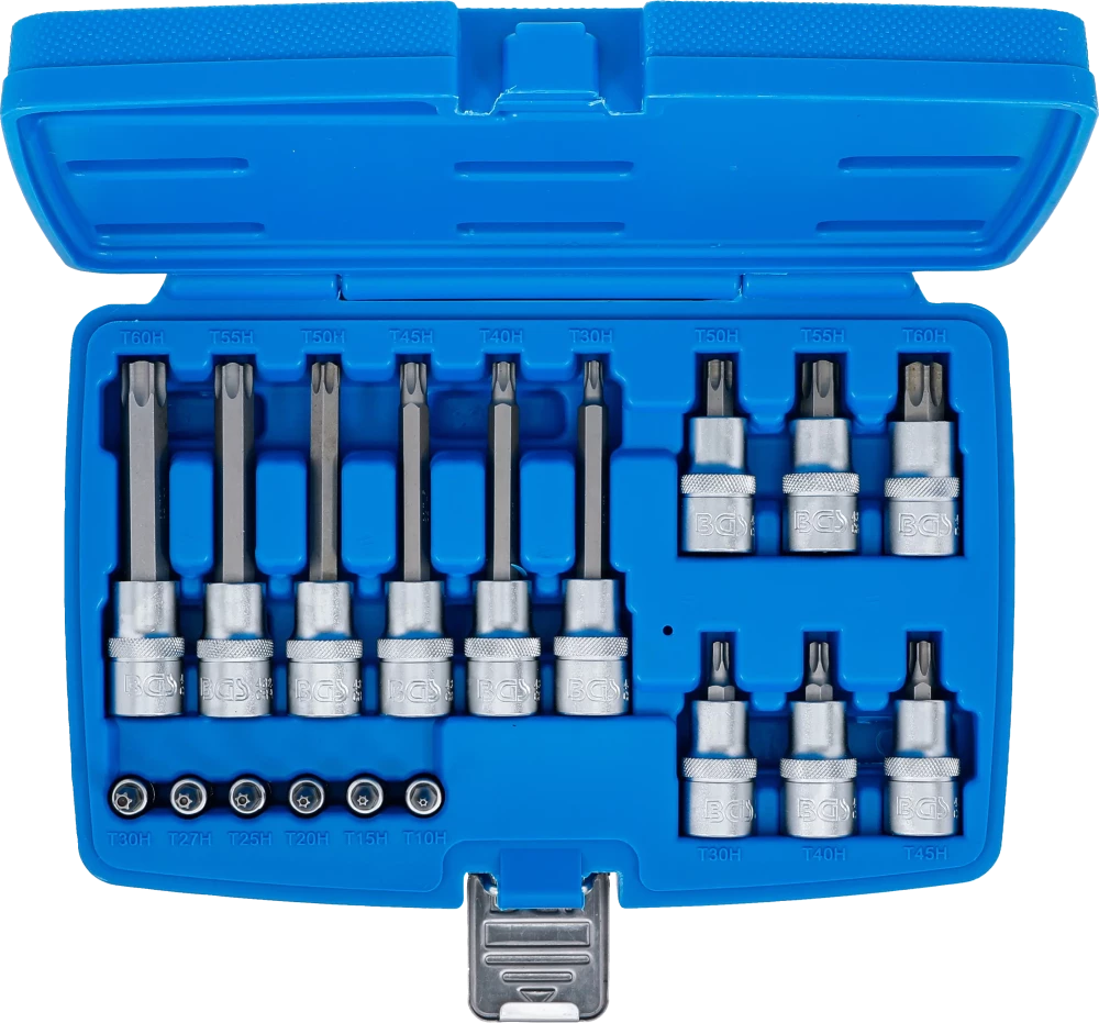 Conjunto de Encaixes Torx com Furo | 1/4" e 1/2" | T10-T60 (std + 100mm) | 18 peças