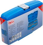 Conjunto de Encaixes Torx com Furo | 1/4" e 1/2" | T10-T60 (std + 100mm) | 18 peças