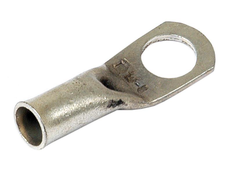 Terminal de massa 16mm² x Ø8.4mm (S.51794)