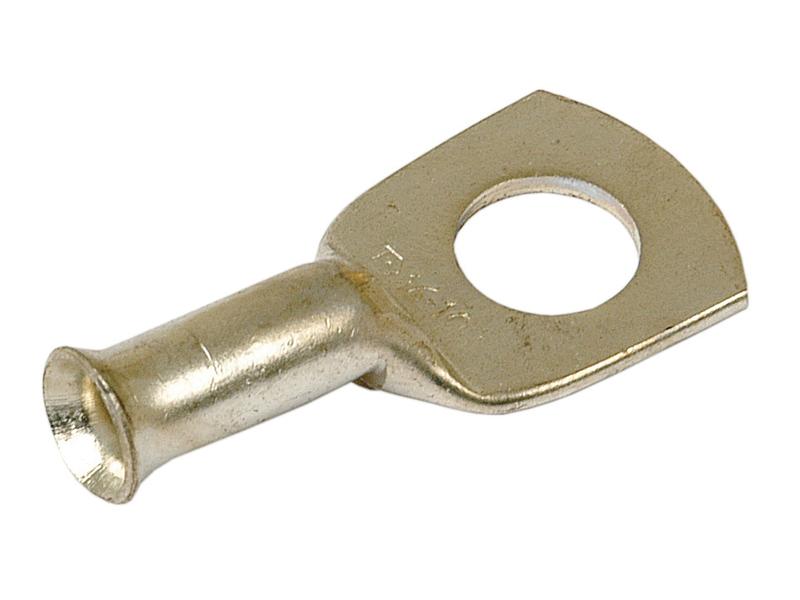 Terminal de massa 16mm² x Ø10.3mm (S.51795)