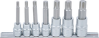 Conjunto de Encaixes para Pontas RIBE | 3/8" e 1/2" | M6 - M14 | 7 peças