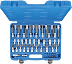 Conjunto de Encaixes para Pontas | Torx, Sextavado, XZN | 1/2" + 5/16" | 49 peças