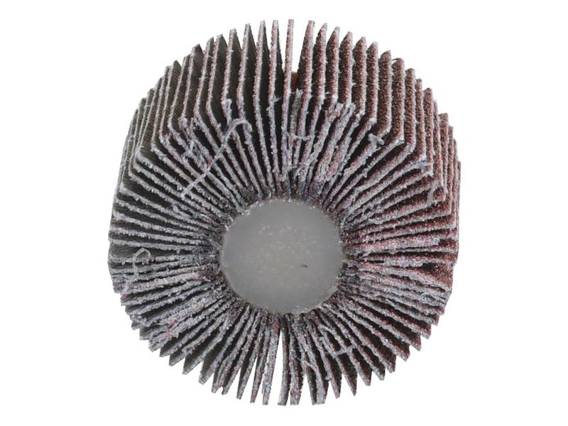 Escova de aço Ø60mm, Altura 30mm, 80g (S.52787)