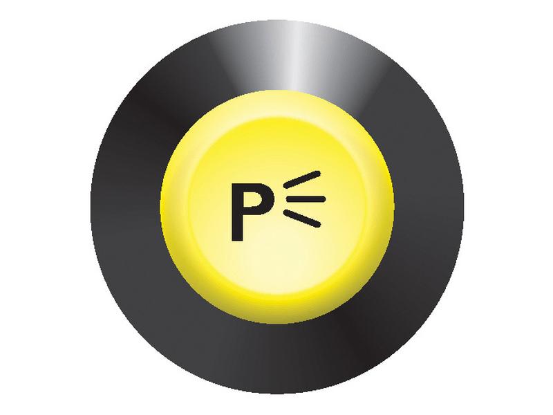Interruptor Presença (S.52803)