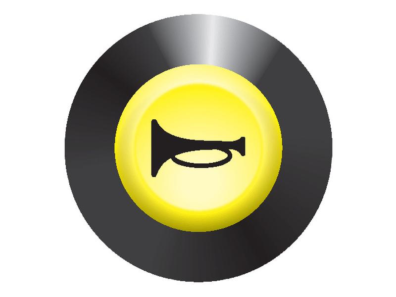 Interruptor Horn (S.52837)