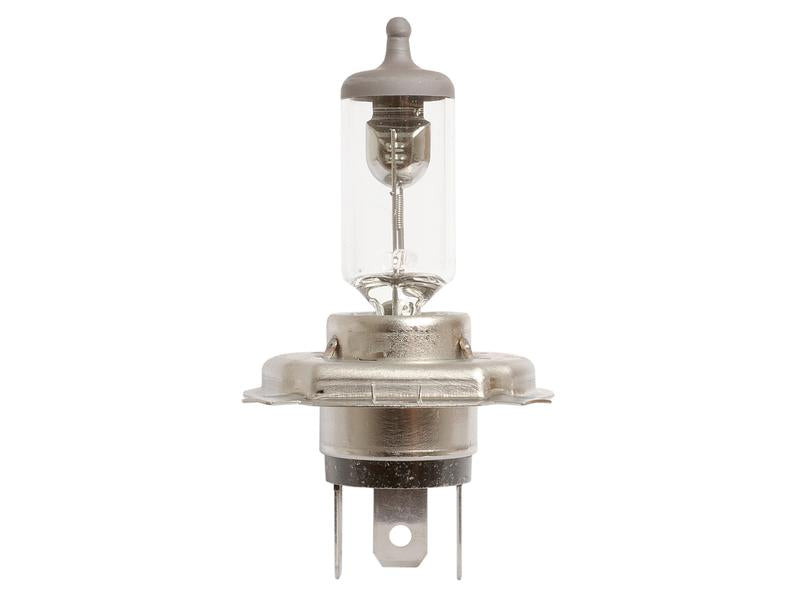 Lâmpada 12V P43t Caixa 1 un. (S.53231)