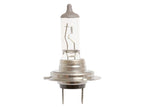 Lâmpada 12V PX26d Caixa 1 un. (S.53246)