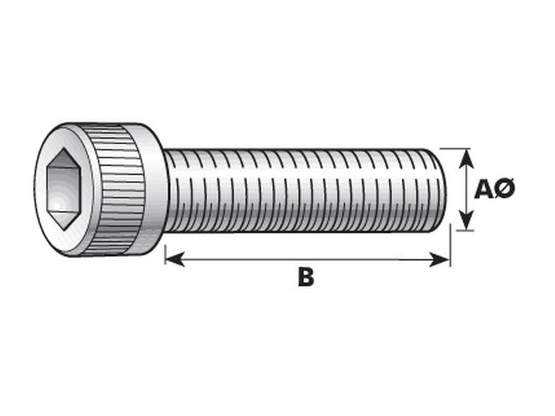 Parafuso Cabeça redonda sextavado interior, Tamanho da rosca: M14x40mm (DIN 912) (S.53914)