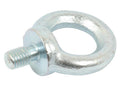 Parafuso, M12x20mm, Ø30mm (DIN 580) (S.54754)