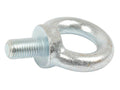 Parafuso, M16x30mm, Ø35mm (DIN 580) (S.54755)