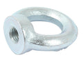 Porca de olhal: M10xØ25mm (DIN 582) (S.54778)