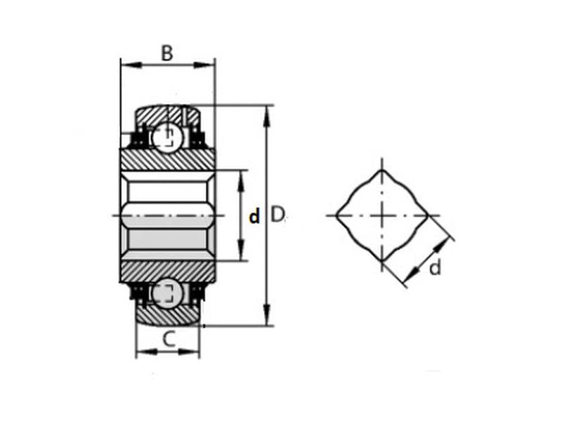 Rolamento (PDNF245/10) (S.55218)