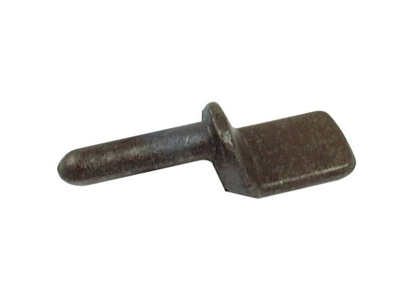 Pino do taipal 1/2 (S.55373)