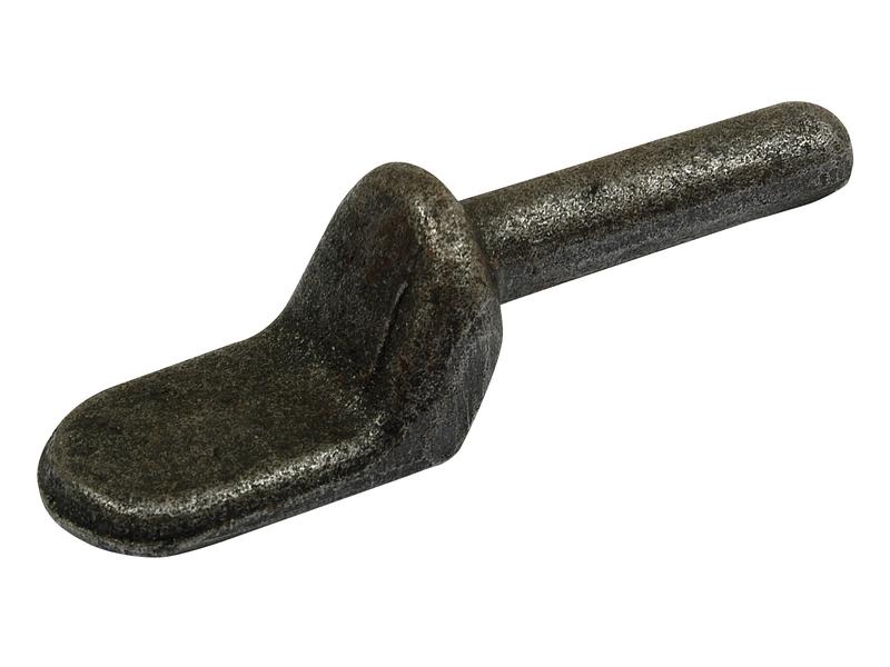 Pino do taipal 1/2 (S.55936)