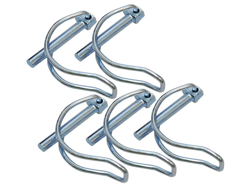 Agripak 5 un. Cavilha 6mm x 40mm (S.56678)