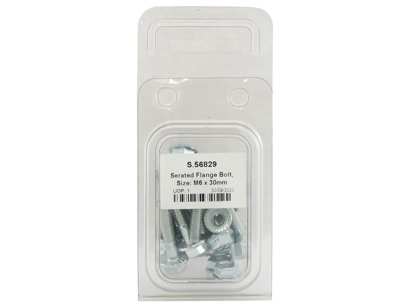 Agripak 20 un. Parafusos M6x30mm (S.56829)