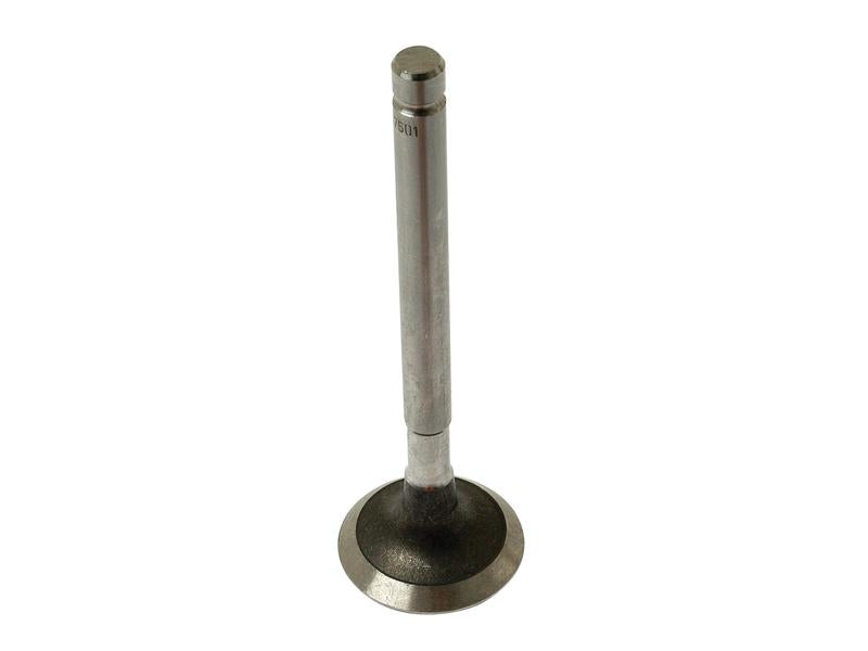 Válvula de escape Standard (S.57501)