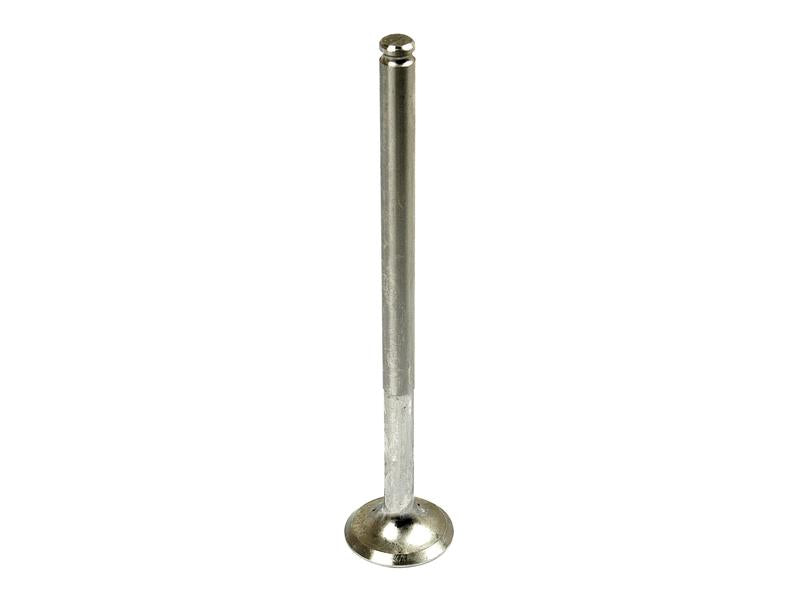 Válvula de escape Standard (S.57605)
