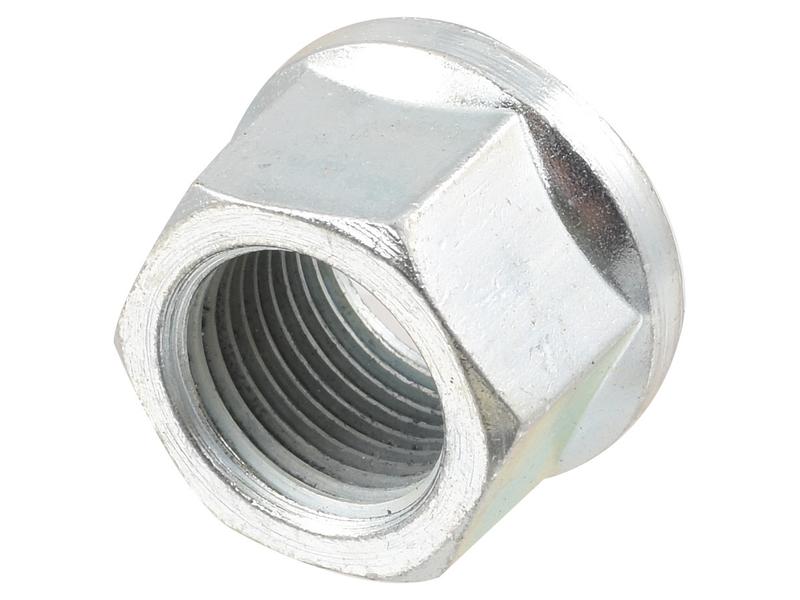 Porca (S.57770)