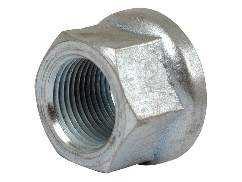 Porca (S.57772)