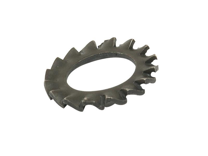 Anilha recartilhada externa, 10mm (S.5819)