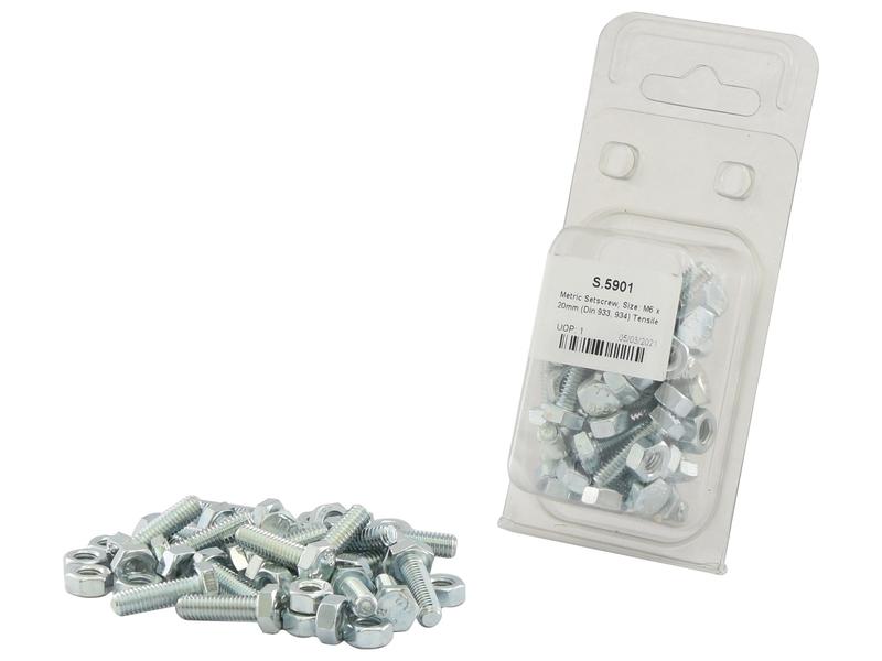 Agripak 20 un. Parafuso métrico M6x20mm (S.5901)