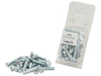 Agripak 20 un. Parafuso métrico M6x30mm (S.5902)