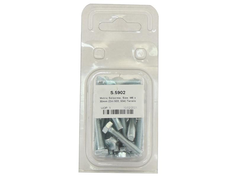 Agripak 20 un. Parafuso métrico M6x30mm (S.5902)
