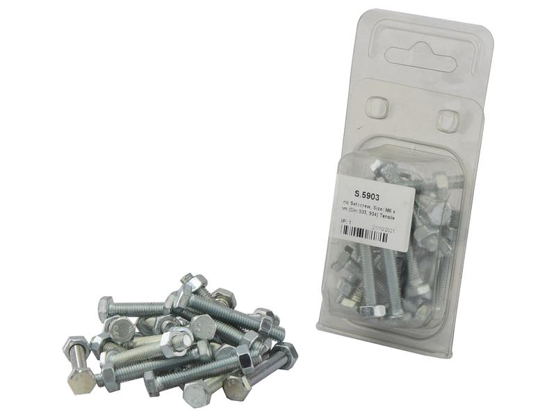 Agripak 20 un. Parafuso métrico M6x40mm (S.5903)