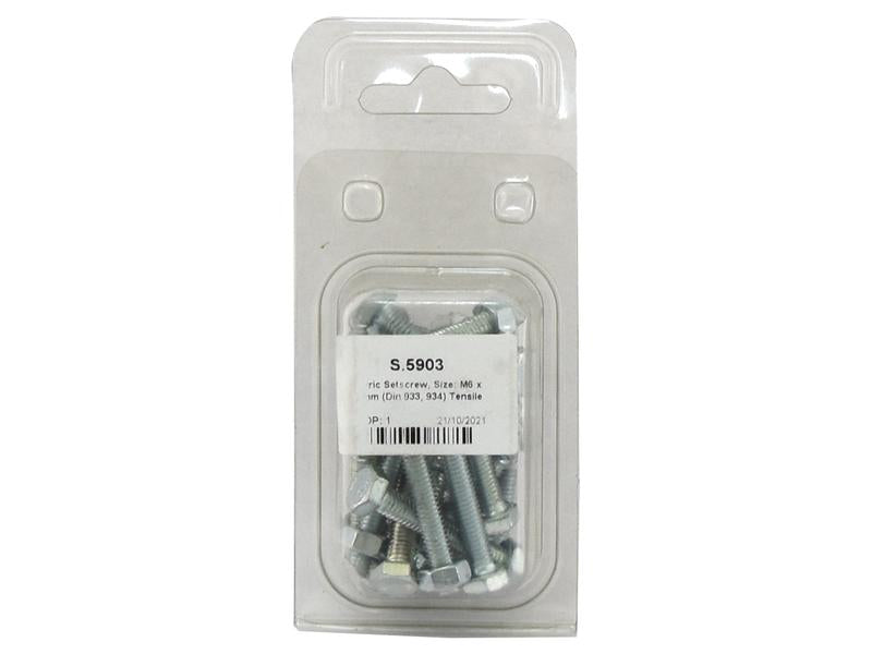 Agripak 20 un. Parafuso métrico M6x40mm (S.5903)