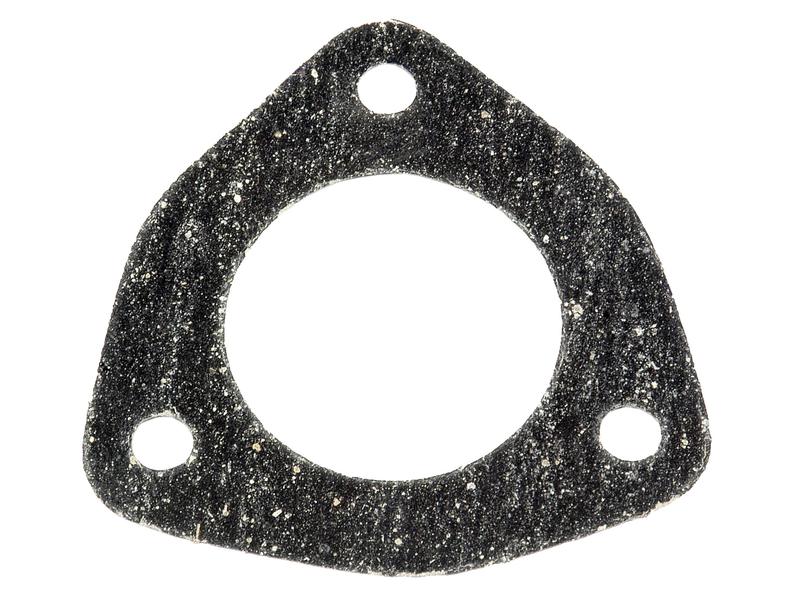 Junta termostato (S.59158)